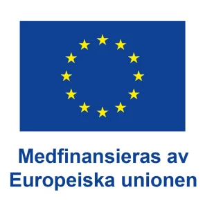Eu-flagga